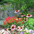 2007 06-Eureka Springs Flowers